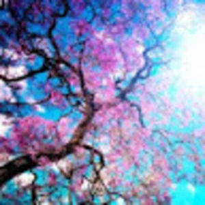 Meet your Posher, Bella